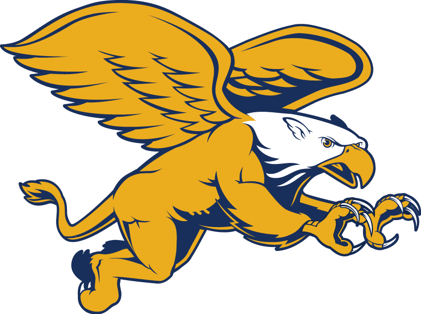 Canisius Golden Griffins 2006-Pres Secondary Logo v2 diy DTF decal sticker